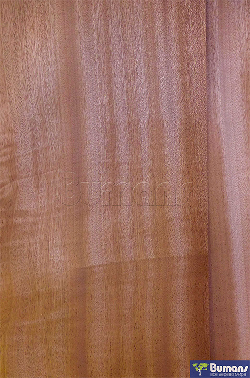 Махагон Африканский (Кайя) 0,6 мм